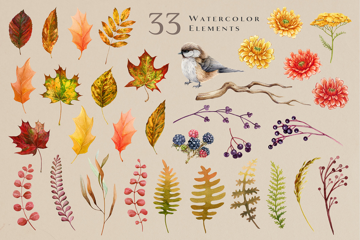 Autumn Pumpkins Watercolor Clipart, a Seasonal Illustration by AnitaPol (Photo 8 of 12)