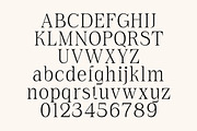 Asvata a Elegant Serif, a Serif Font by Lettertype Studio (Thumbnail 9 of 13)