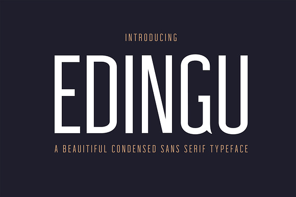 Edingu Sans Serif Font Family