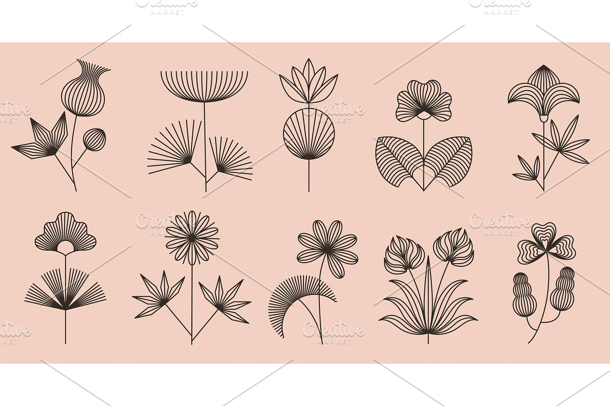 Linear boho flowers. Floral line art, an Object Illustration by winwin.art