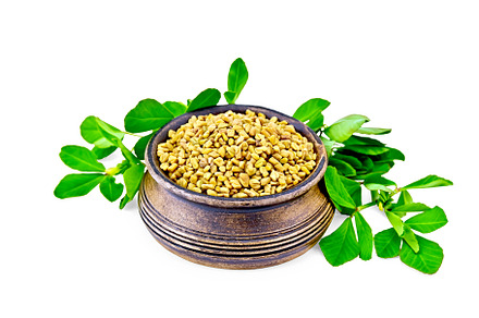 Fenugreek with green leaves in bowl featuring food, fenugreek, and trigonella, a Food & Drink Photo by rezkrr