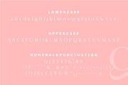 Histeagin Serif, a Serif Font by Yahya Type (Thumbnail 22 of 25)