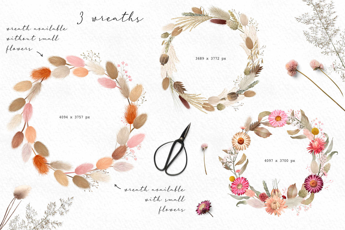 Big romantic dried flower set, a Texture Illustration by marie dricot (Photo 6 of 18)