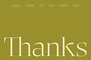Bigest Karath Thin Serif Display, a Serif Font by timelesstype.co (Thumbnail 20 of 20)