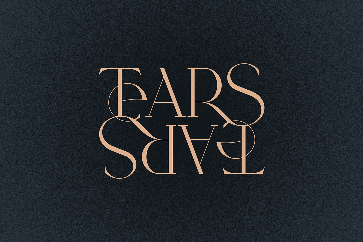 SALE! Type Maestro + Quasar font duo, a Serif Font by VP Fonts (Photo 7 of 18)
