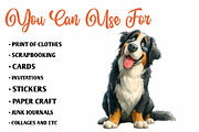 Quirky Dog Breeds Clipart, a Seasonal Illustration by CreationArt (Thumbnail 5 of 7)