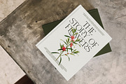Merilo Elegant Serif Font, a Serif Font by Graphicxell (Thumbnail 8 of 8)