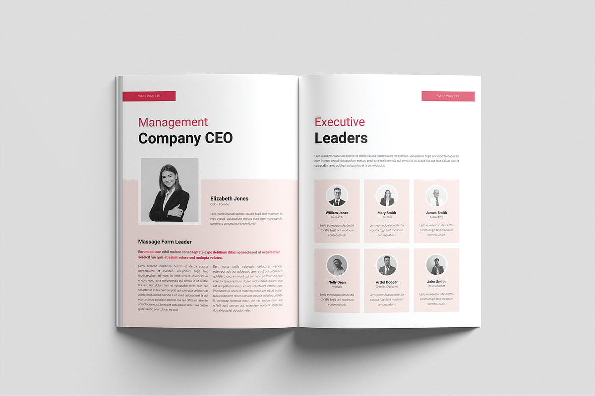 Whitepaper Template, a Brochure Template by Cleffon_Graphic_Studio (Photo 6 of 9)