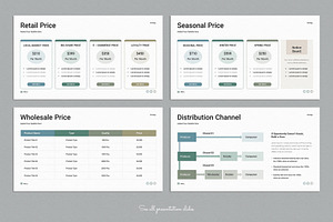 Sales Strategy Plan Presentation