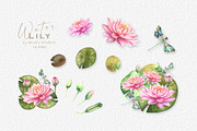 Watercolor Pink Waterlily clipart, an Illustration by GevelStudio (Thumbnail 2 of 5)