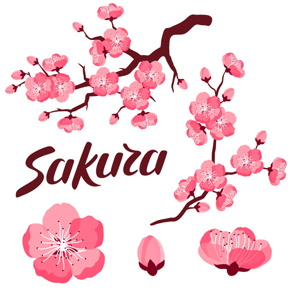 Japanese sakura set of branches., an Object Graphic by incomible