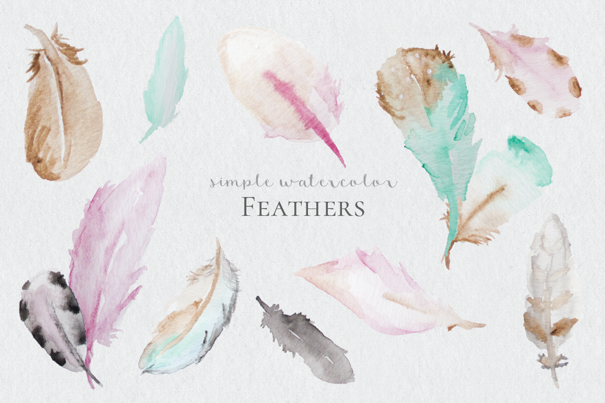 Watercolor Feathers, an Illustration by DesignsByMissM
