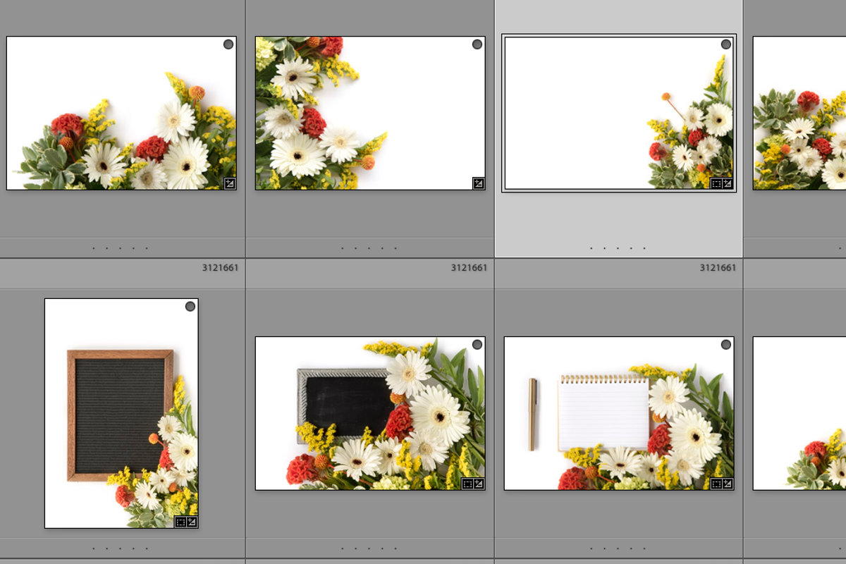8 Mockups Gerber Daisy Wild Flowers, a Social Media Template by Cohesive Market (Photo 2 of 2)