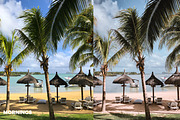 Scandinavian Lightroom Mobile Preset, an Action Add-On by in between details (Thumbnail 3 of 13)