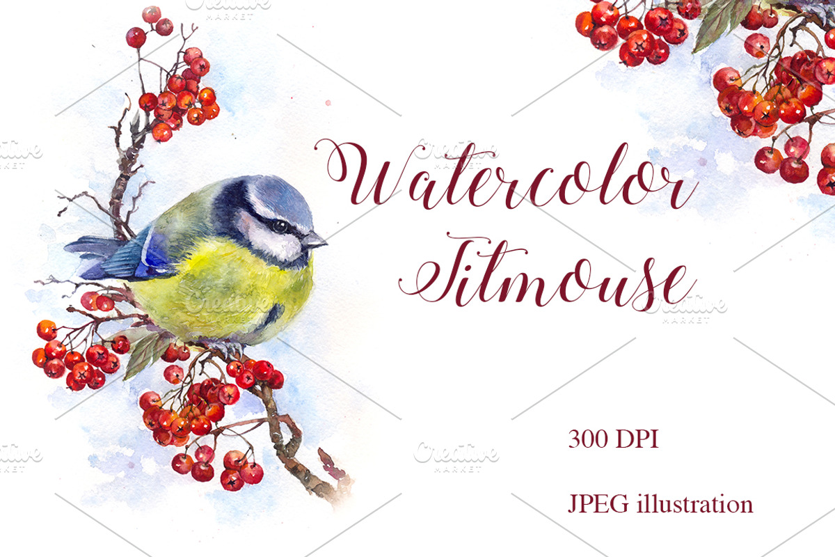 SALE! Watercolor Titmouse Great tit, a Decorative Illustration by MaryAmi (Photo 1 of 3)