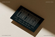 First Contact - 16 Fonts in One Pack, a Sans Serif Font by SilverStag Type Foundry (Thumbnail 21 of 30)