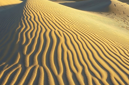 Rippling sand dunes under bright sun, a Photo by Iftikhar Alam