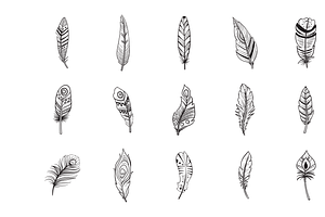 Feathers Handdrawn Collection