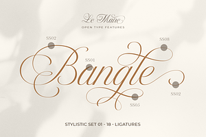 Le Maire - Modern Cursive Script