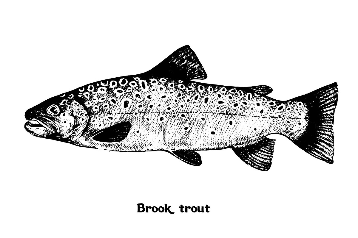 Fish collection, part 1, a Food Illustration by ZotovShop (Photo 2 of 14)