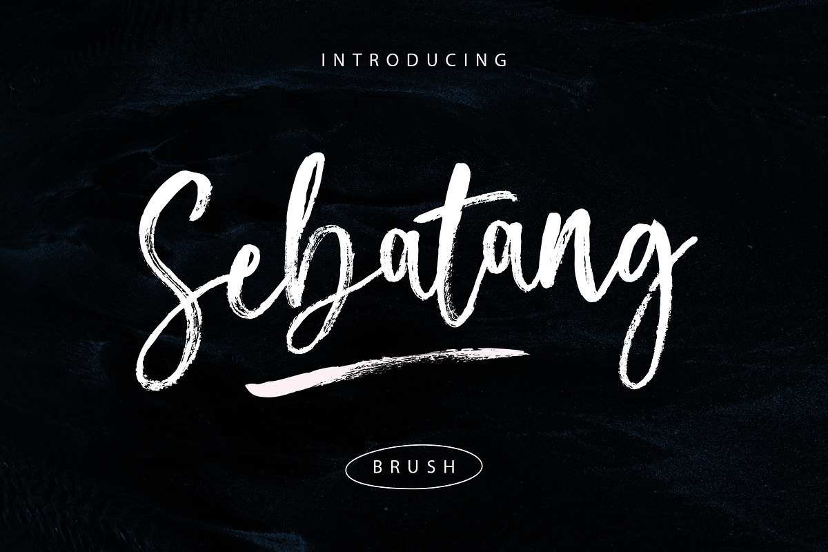 Sebatang Brush, a Script Font by Realtype (Photo 1 of 10)