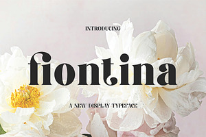 Fiontina A Display Typeface Font