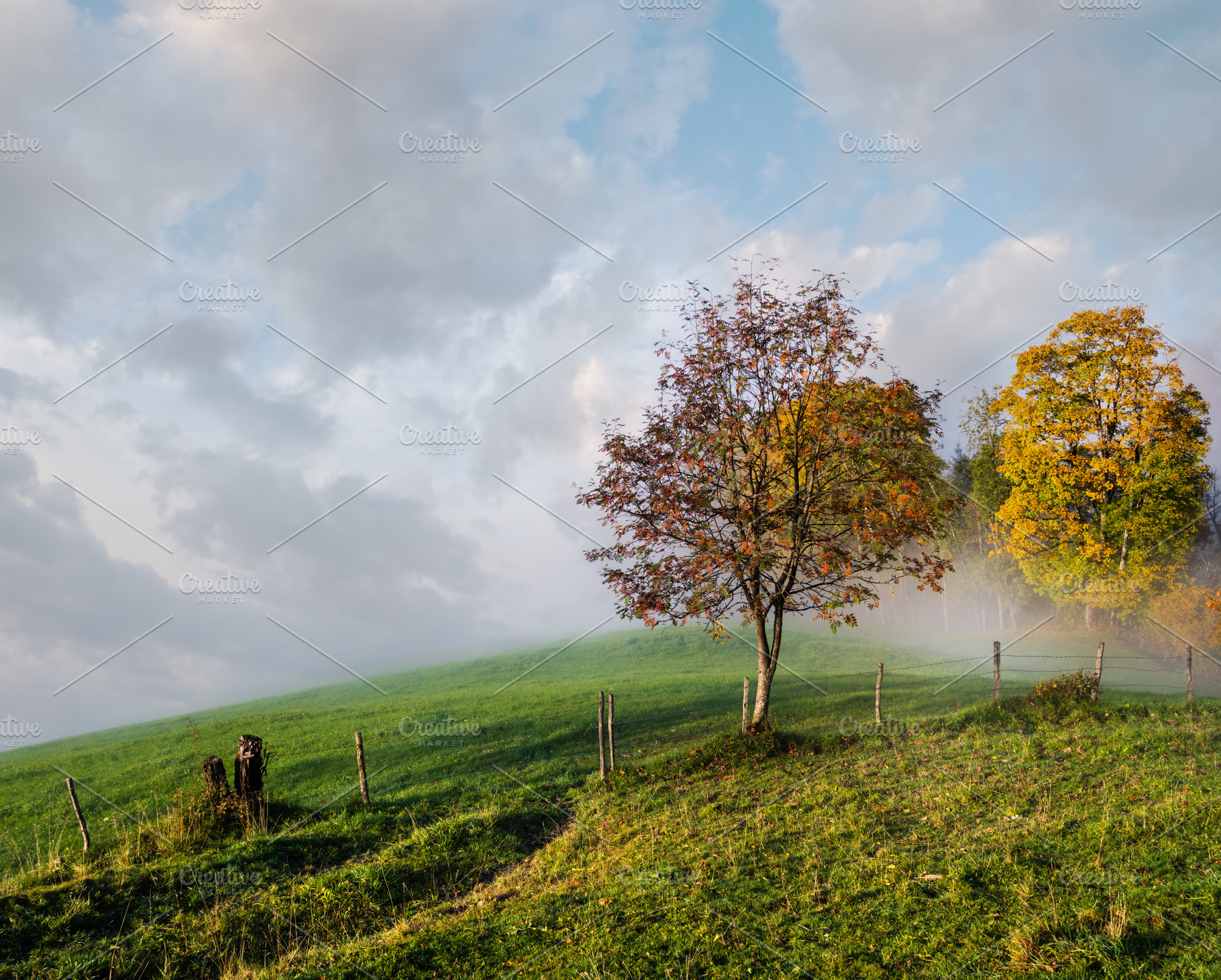 Peaceful misty autumn morning mountain view from hiking path fro, a Nature Photo by YuriyB