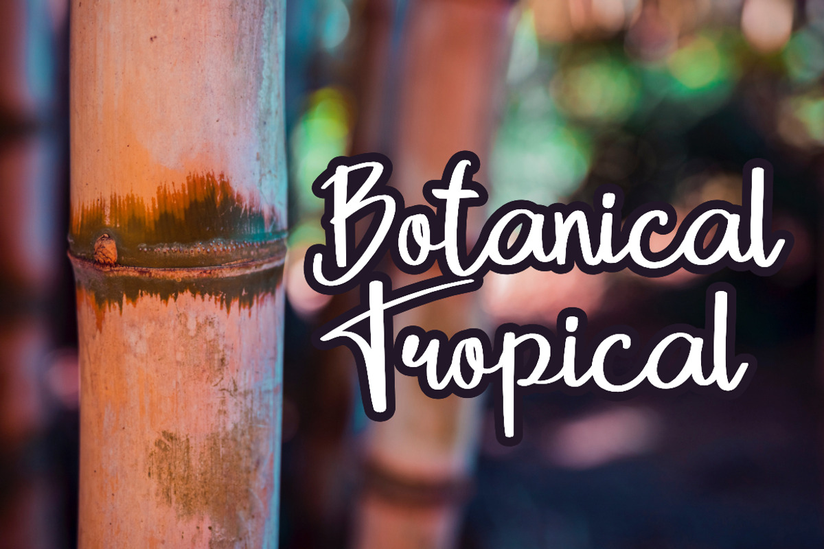 Fence Brezee - Script Font, a Script Font by Bayuktx (Photo 7 of 8)