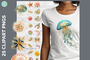 Marine Invertebrate Clipart, 25 PNG