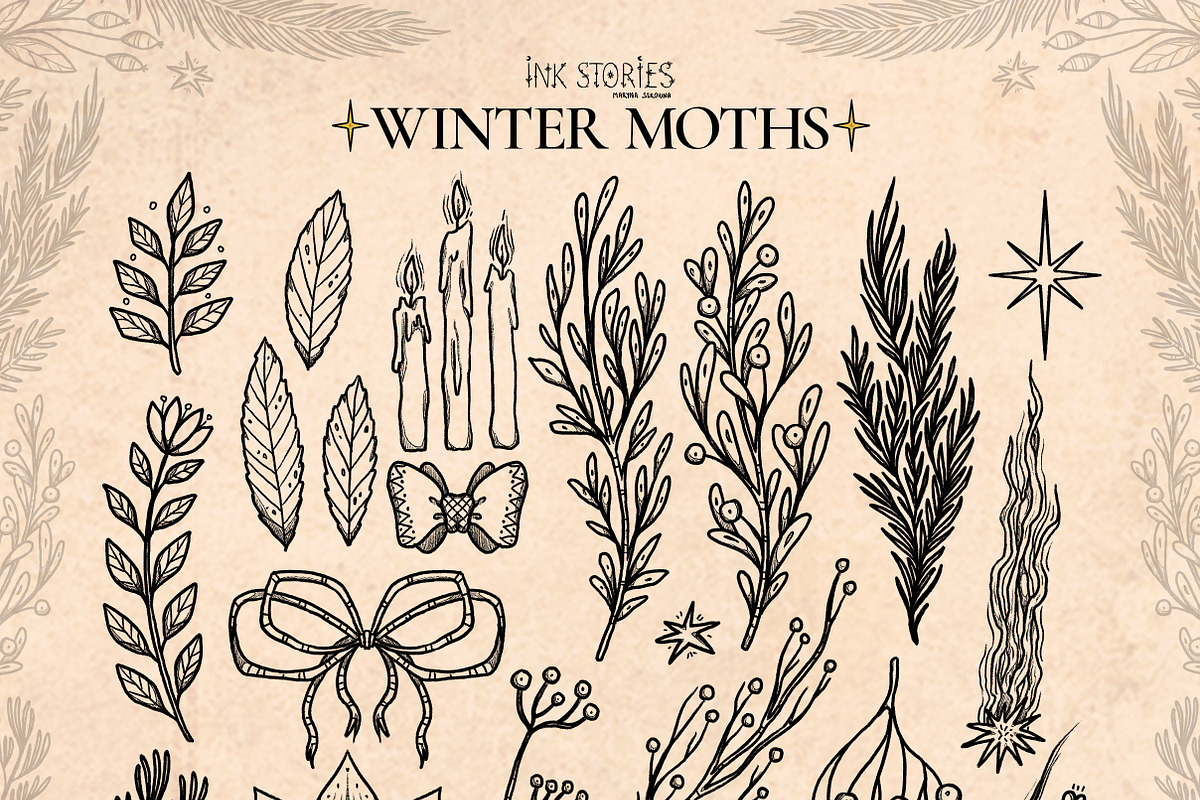 Winter Moths & Evergreen Botanicals, a Seasonal Illustration by Ink Stories (Photo 5 of 15)