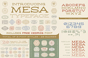 The Vintage Font Bundle, a Font by NienowBrand (Thumbnail 13 of 14)