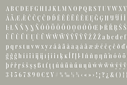 Gabriela Stencil Condensed, a Font by Lechuga Type (Thumbnail 15 of 17)