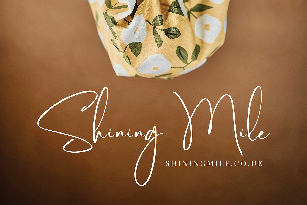 Balmonte, a Script Font by pineungtype (Photo 2 of 8)