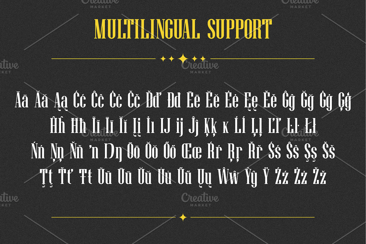 Monolithica serif font, a Serif Font by pictranoosa_studio (Photo 6 of 6)