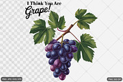 Vintage Fruit Sublimation Bundle, an Illustration by Actual Pixel (Thumbnail 7 of 11)