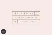 Equinox Stylish Font duo & logo set, a Slab Serif Font by Studio Aurora (Thumbnail 9 of 13)