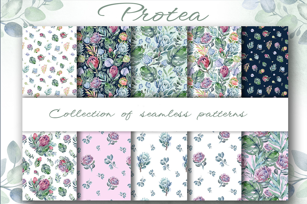 PROTEA watercolor flowers clipart, an Illustration by LenArt (Photo 10 of 16)