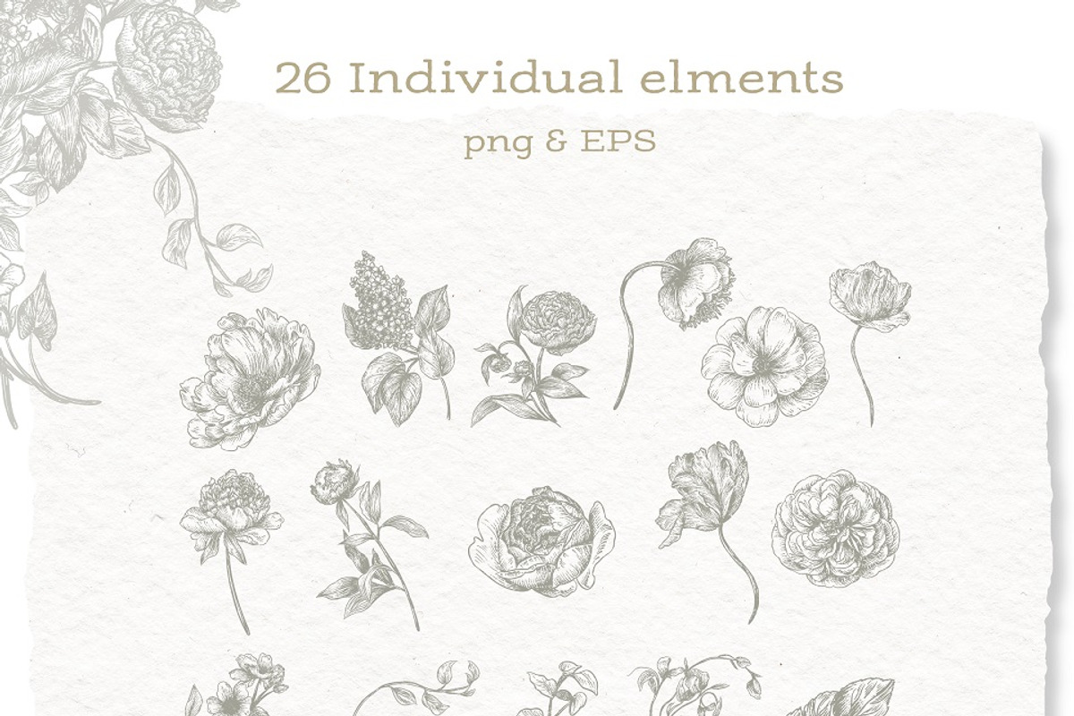 Vintage Botanical Floral - Clipart, a Decorative Illustration by BlumenSoul (Photo 8 of 10)