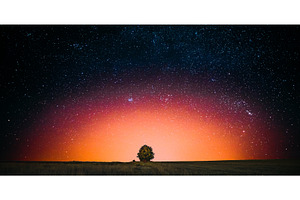Night Starry Sky Above Lonely Tree, a Nature Photo by Our Amazing World