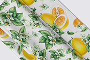 Pomelo Fruit Watercolor Collection, a Food Illustration by SashaKondr (Thumbnail 3 of 13)