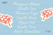Moonberry Vintage Handwritten Script, a Handwritten Font by Namela Studio (Thumbnail 3 of 8)