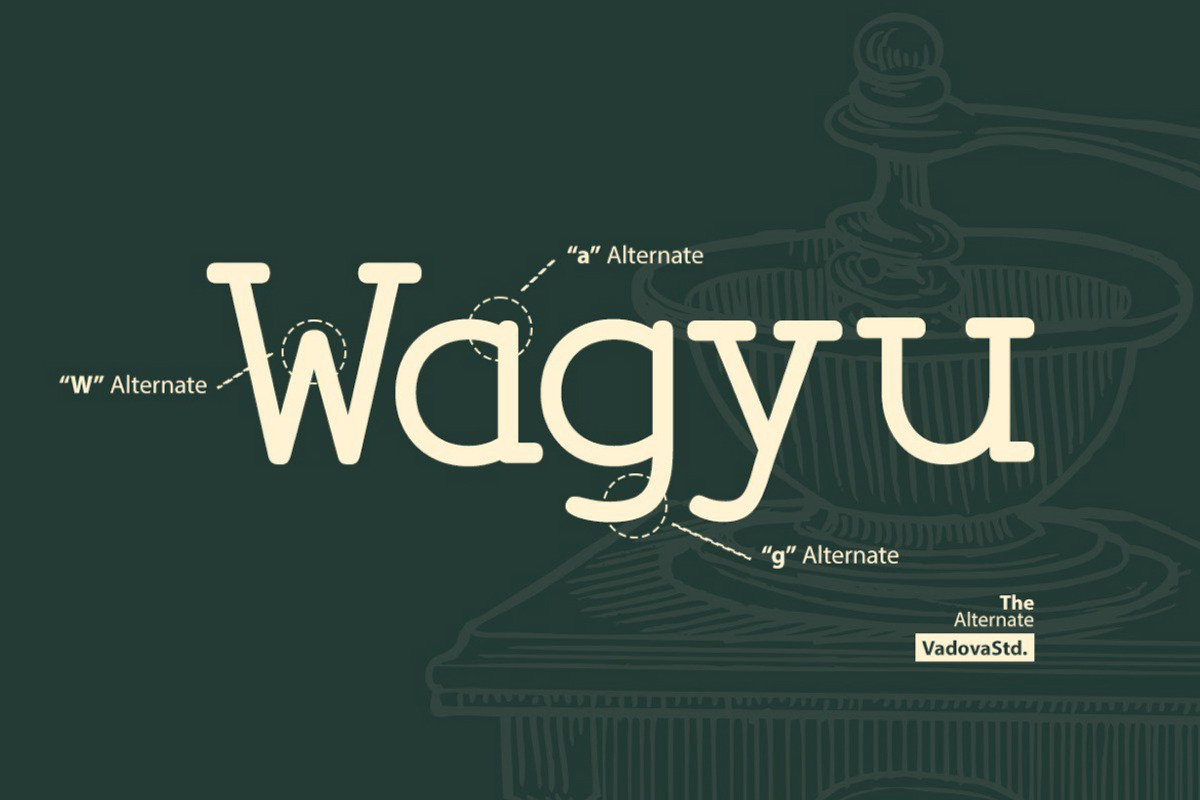 Fogakie – Old Serif Typeface, a Serif Font by Vadovastd (Photo 3 of 11)