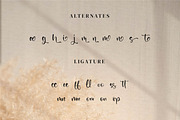 The Spirit, a Script Font by Integritype Studio (Thumbnail 10 of 14)