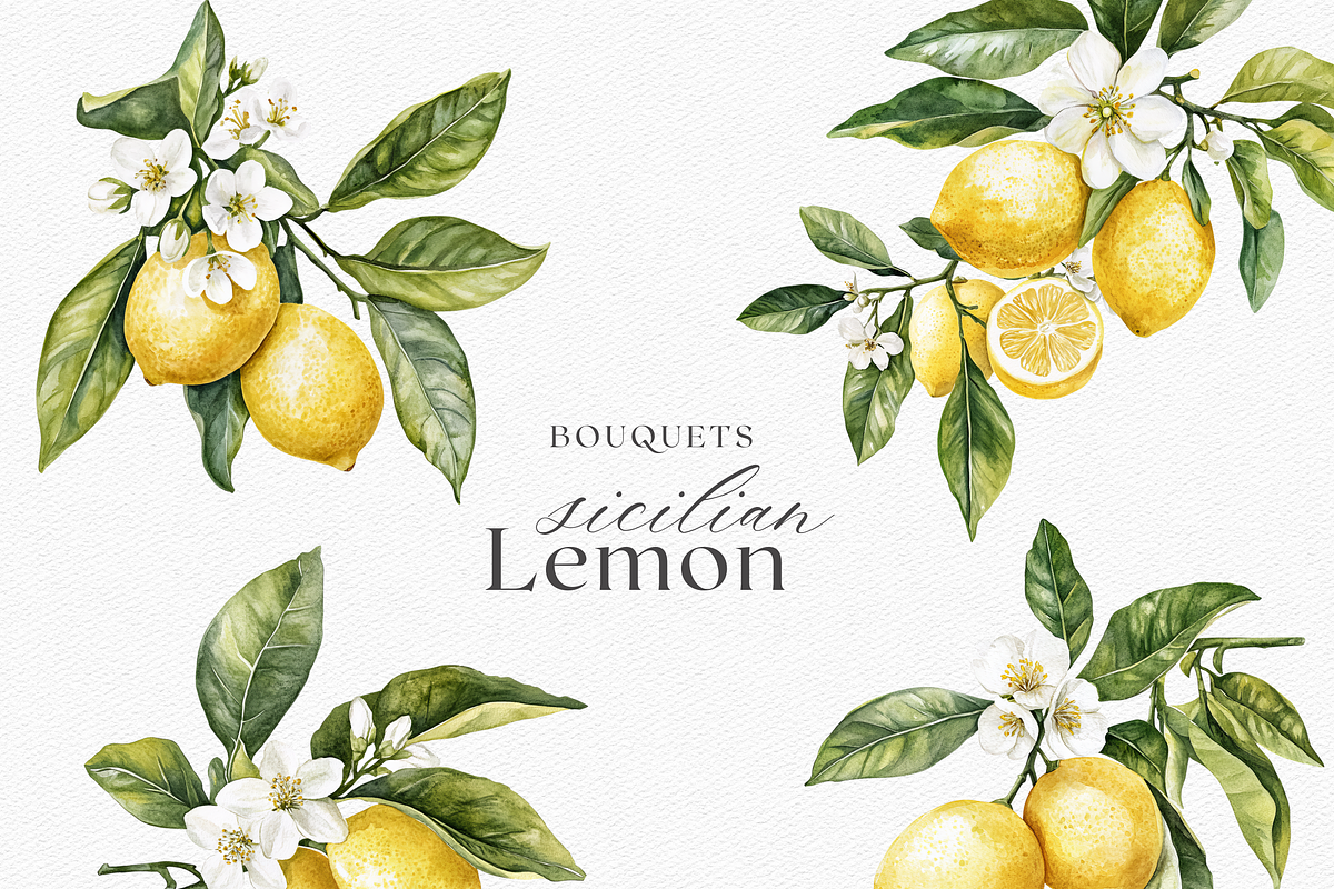 Sicilian Lemon - Watercolor clipart, a Decorative Illustration by ThaismotaCreativeCo (Photo 3 of 9)