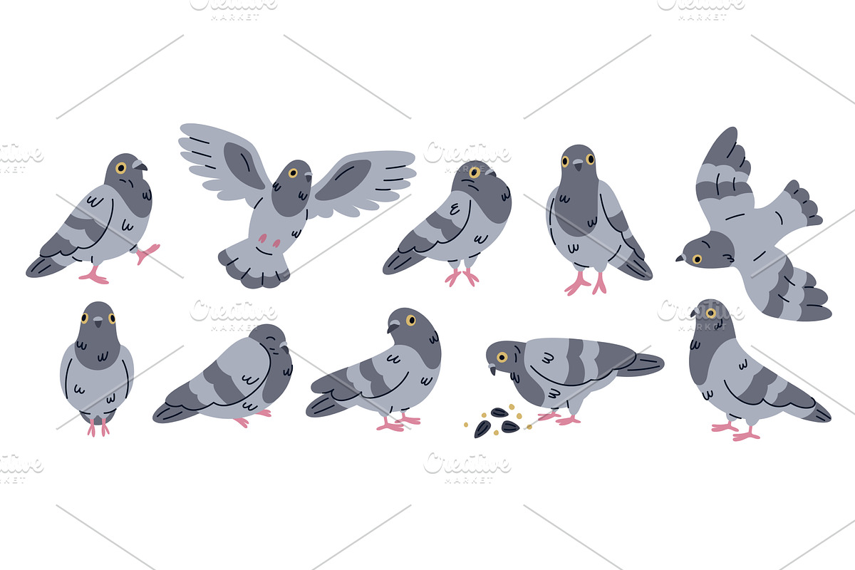 Cartoon comic dove character. Funny, an Animal Illustration by YummyBuum