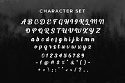 Haliond Modern Script, a Script Font by Multype Studio (Thumbnail 9 of 11)