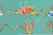 Ocean Whimsy Watercolor Wonders, an Illustration by Amarawolf's Art (Thumbnail 14 of 18)