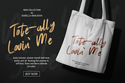 BROOSH - Display Brush Font, a Handwritten Font by PuriCreative (Thumbnail 5 of 10)