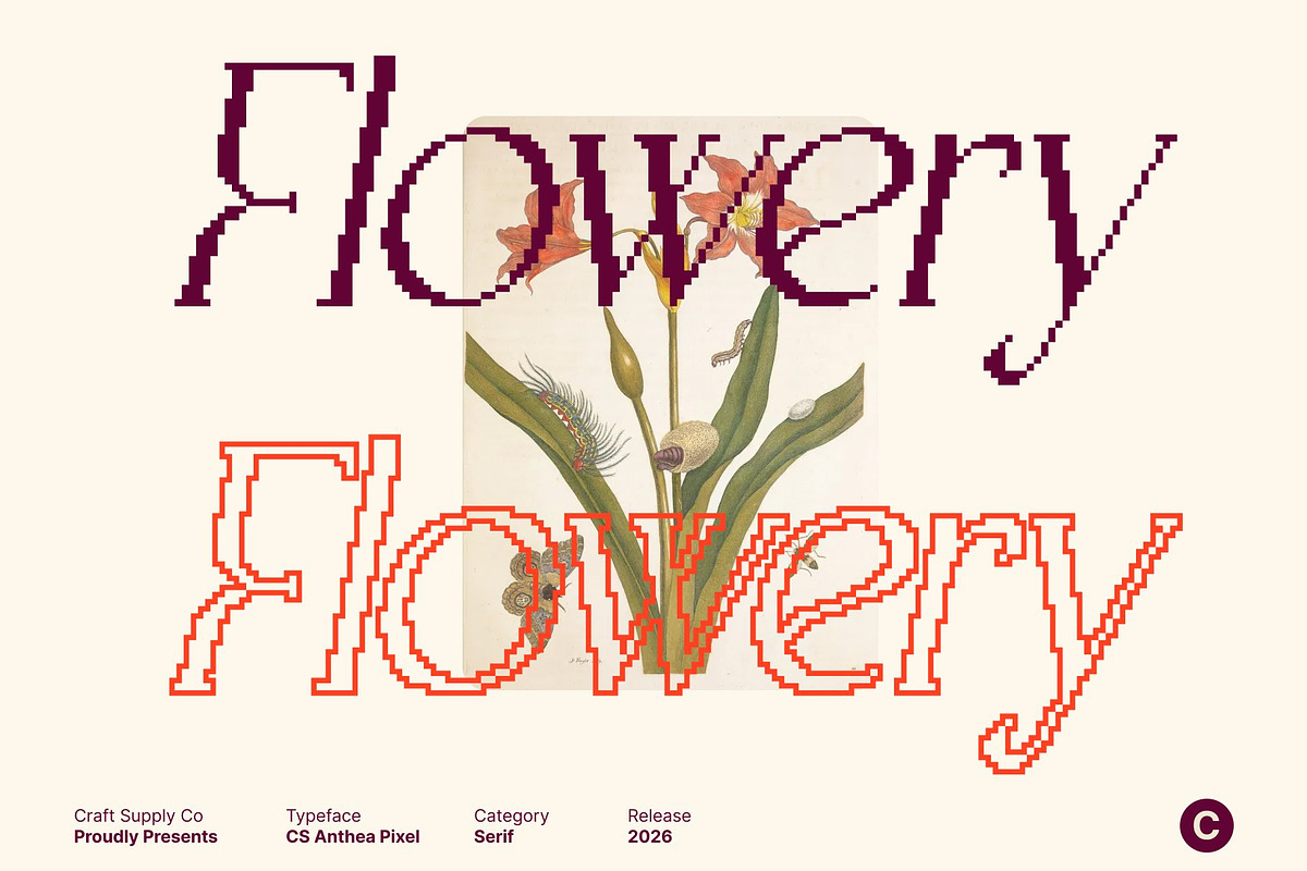 CS Anthea Pixel, a Serif Font by Craft Supply Co. (Photo 6 of 8)