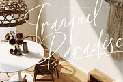 Silentone Barcelona Modern Script, a Script Font by Letterena Studios Script (Thumbnail 7 of 15)